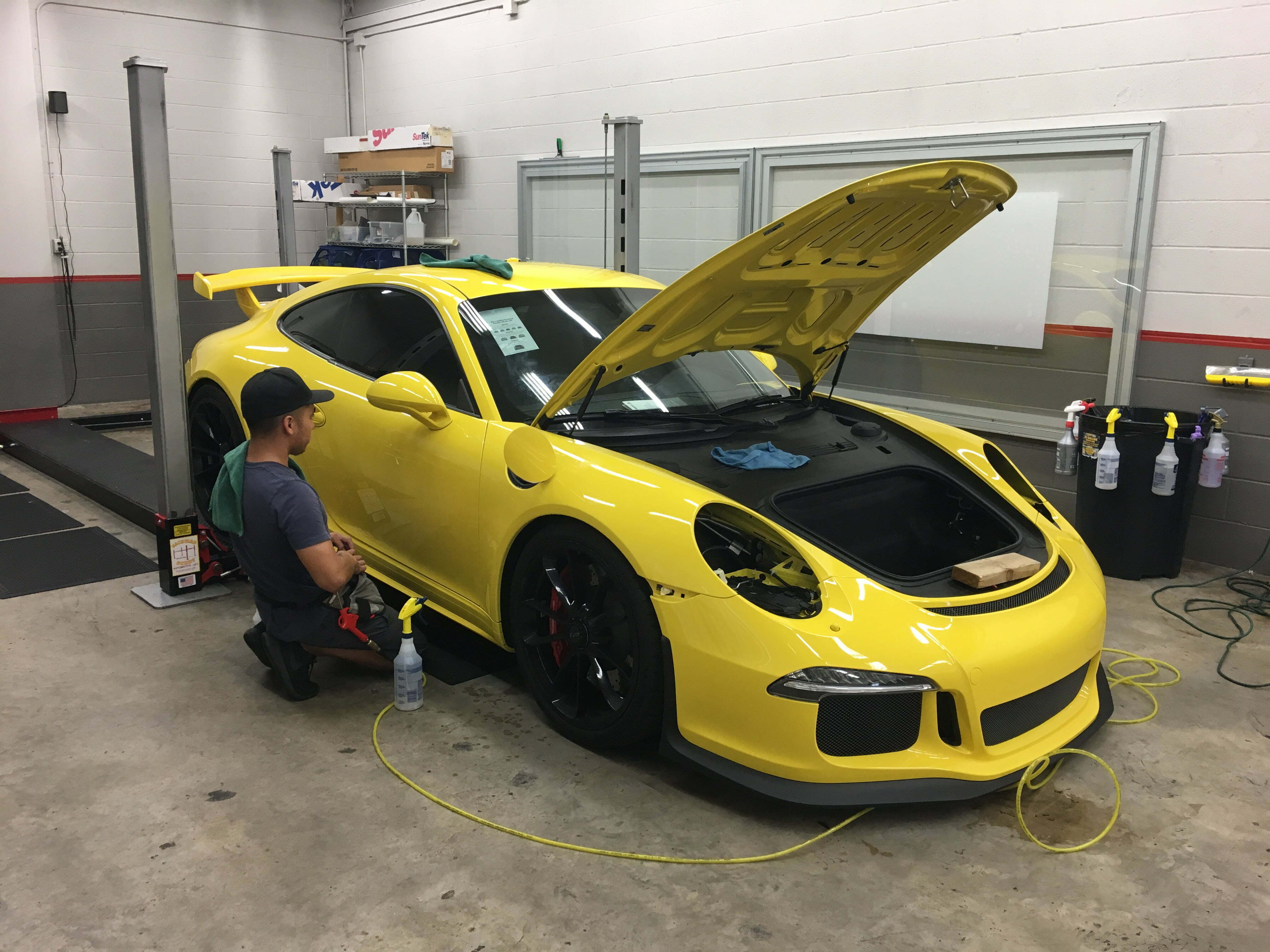 Paint protections process